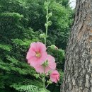 영지농장 이미지