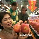 노란네모