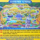 4월19일 서산 벚꽃 여행(개심사,문수사,유기방가옥 수선화,해미읍성)잔여2석 이미지