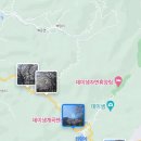 백운면 벚꽃길 이미지