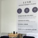 고양 특별한 아로마 향수 원데이 클래스 [도테라 은평점아로마라운지] 후기/영업정보