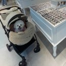 파주시 징집 제1차 | 파주안경점 세심한 검사와 최신 검안장비까지 완벽한 글라스스토어문산점 후기