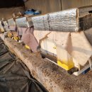 농업회사법인(주)행복한농부들 이미지