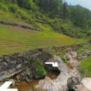 팔도공인중개사사무소 이미지