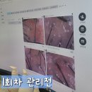 반석역(6번출구) 버스정류장 | 대전 두피관리 헤드스파K 대전 반석점 5D 두피디톡스 3회차 관리 후기