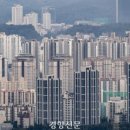 와이제이 홀딩스 이미지