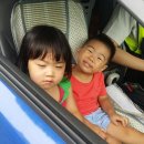 문정지구대 이미지