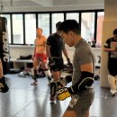 ART OF MMA 이미지