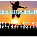 태백케이블방송 이미지