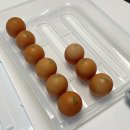 퍼털그라운드 이미지