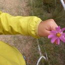 동호유적근린공원 이미지