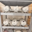 SNPE척추운동 | 운정에서 SNPE척추운동으로 허리 통증 극복한 후기.