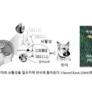 [붓다와 뇌과학]19 붓다의 의근意根 & 뇌과학의 의식의 생성 / 문일수 교수 이미지