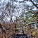 사명대사매표소 화장실 | 직지사_사명대사공원