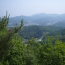 모사사 이미지
