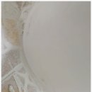 보강빌라 앞 이미지