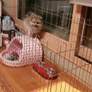 두리약품