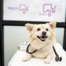 경기중앙동물병원 이미지