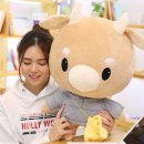 기억하개 이미지