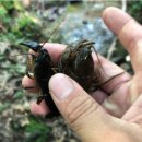 함라농장 이미지