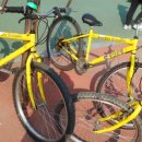 동래구 자전거무료대여소 이미지