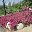 오천그린광장 이미지