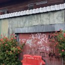 넘버원약국 | 첫번째 치앙마이 | 친구랑 치앙마이 일주일 살기 6박 8일 | 2탄