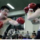 동부신도 복싱체육관 이미지