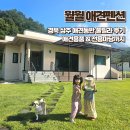 월월애견펜션 | 상주애견동반 월월애견펜션 독채에 전용마당까지 프라이빗한 숙소후기