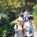 라이관린 카카오 검색결과