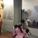 청도소싸움테마파크 이미지