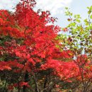 잉가모텔 이미지