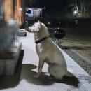 부강펜션 이미지