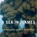 A Sea in Flames: The Deepwater Horizon Oil Blowout 이미지