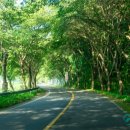 유곡면사무소 이미지