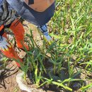 남해-129 이미지