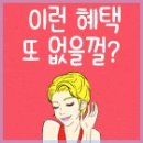 SK대리점 이미지