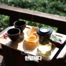 한밭 | 하동 여행 가볼만한곳 녹차밭뷰 한밭제다 티크닉 체험 후기