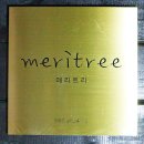 메리트리(meritree) 이미지