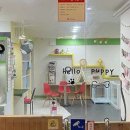 독앤걸즈 이미지