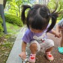 아이사랑어린이집 | 아이사랑 어린이집 입소대기 신청 우선순위 완벽 정리