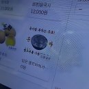 육개장의발견