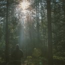 오케이재활의학과의원 이미지