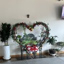 댕댕이 카페 | 울산 야외 운동장있는 애견카페 먹골댕댕이 다녀온 후기