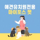굿모닝유치원 이미지
