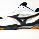 170001 | 미즈노 배드민턴화 - 웨이브 팡 프로 2020 (MIZUNO WAVE FANG PRO 2020)