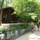 자연힐링센터 이미지