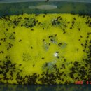 삼양가축약품 이미지