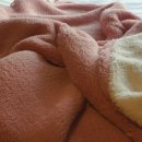 디자인리브가