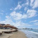 봉포약국 이미지